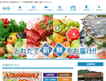 Tablet Screenshot of maiya.co.jp